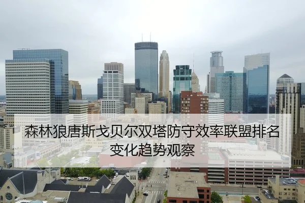 森林狼唐斯戈贝尔双塔防守效率联盟排名变化趋势观察